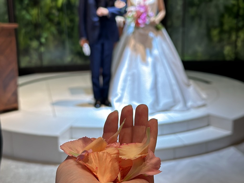 アラサー女、弟の結婚式に参列して号泣