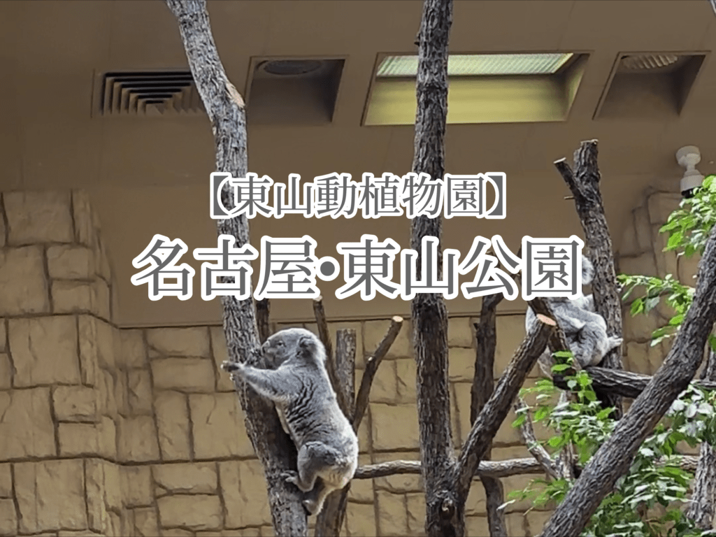 おしり見に行った